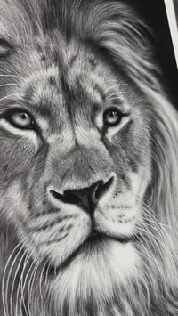 Image 2 of Giclee print “Silent majesty” 