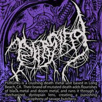 Image 4 of PURGING "S/T" CS