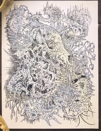 Annihilation II: Amalgamation