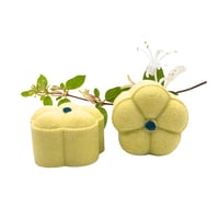 Honeysuckle