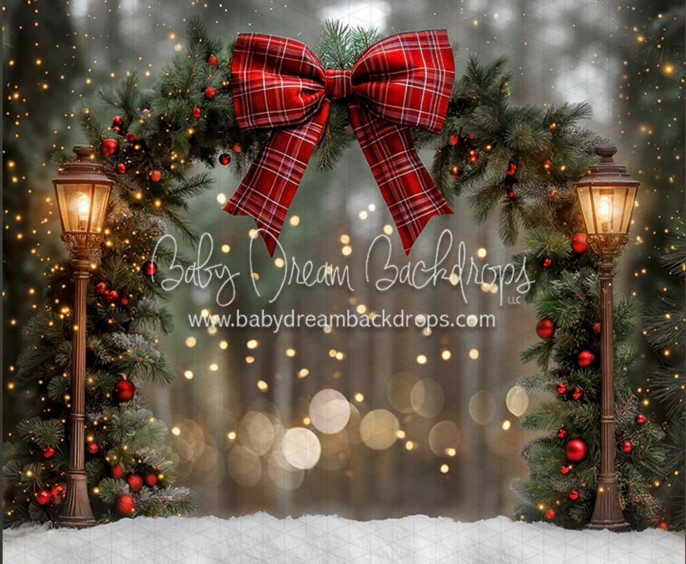 Image of Snowy Stroll Mini Sessions- DEPOSIT ONLY