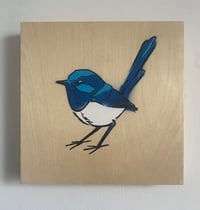 hand stencilled wren artwork