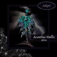 Image 2 of ☽ Acanthus Mollis ☾