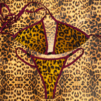 Image 1 of ଘ(੭*ˊᵕˋ)੭* ੈ♡‧₊˚ large t-back g bottoms & large regular cup