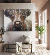 Image 4 of ‘Highland Cow’