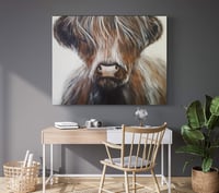 Image 1 of ‘Highland Cow’