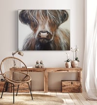 Image 6 of ‘Highland Cow’