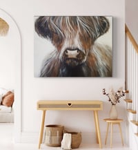 Image 3 of ‘Highland Cow’