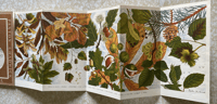 Image 2 of A Pantoscope Book Trees in Fruit by Paxton Chadwick