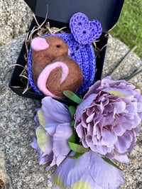 Image 1 of Mouse Without  a House 
