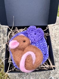 Image 2 of Mouse Without  a House 