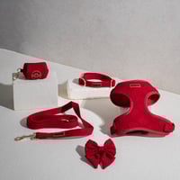 Image 2 of LOVE LUX WALKWEAR SET - ROUGE