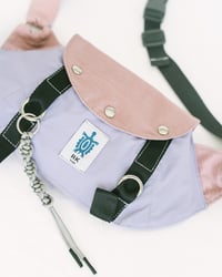 Image 4 of FANNY PACK