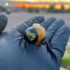 Windstar Pocket Potato