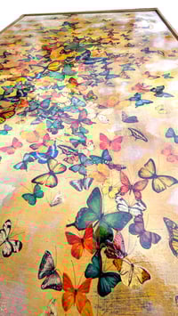 Image 4 of Original Canvas - Summer Butterflies - 36" x 60"