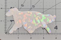 Image 2 of Cracked Ice Rainbow Gaiting Silken Windhound