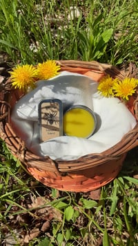 Image 2 of Meadow Mend - Seasonal Herbal Salve with Dandelion & Purple Dead Nettle