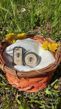 Image 1 of Meadow Mend - Seasonal Herbal Salve with Dandelion & Purple Dead Nettle
