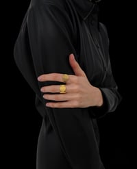 Image 3 of V0.2 Ring Set