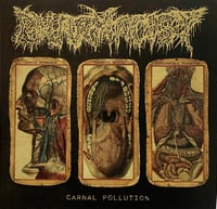 Pharmacist ''Carnal Pollution'' - 10" Ltd.