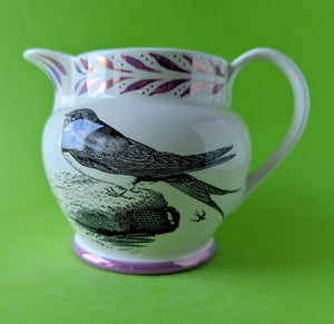 Spring jug - Christina Rossetti and Bewick's swallow