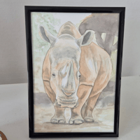 Image 1 of Rhino