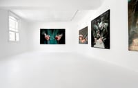 Image 3 of ‘Retract the Sternum’, 2023 (diptych) 