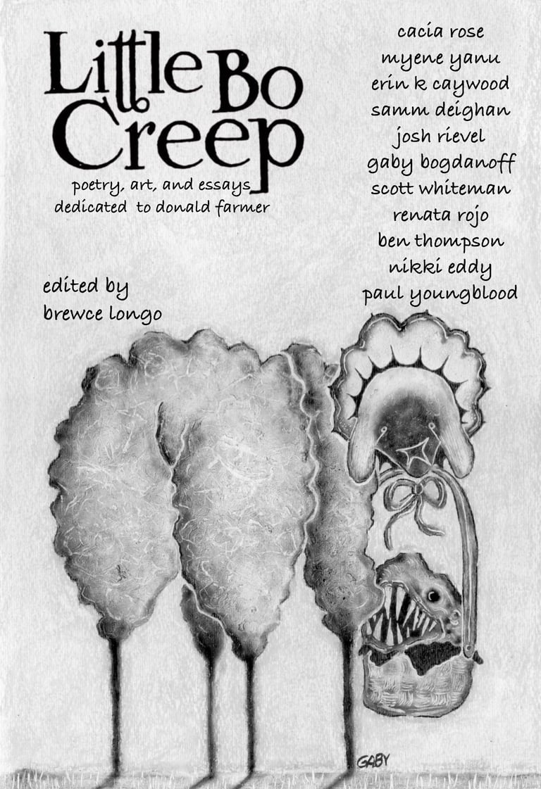 Little Bo Creep VHS + Zine Preorder Image 3