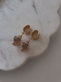 Image 4 of Seashell Dangles (Gold)