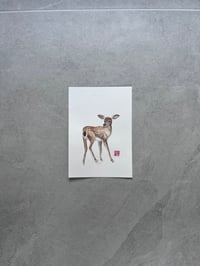 Deer
