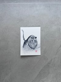 Tiger (12 Chinese Zodiac Animals)