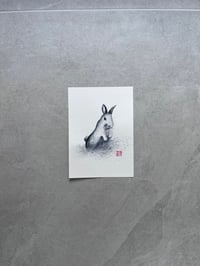 Rabbit (12 Chinese Zodiac Animals)