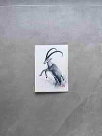 Goat (12 Chinese Zodiac Animals)