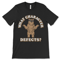 Image 1 of Funny Recovery Shirt | What Character Defects?
