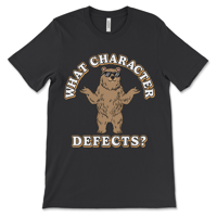 Image 2 of Funny Recovery Shirt | What Character Defects?