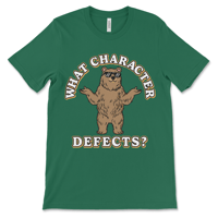 Image 5 of Funny Recovery Shirt | What Character Defects?