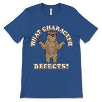 Image 3 of Funny Recovery Shirt | What Character Defects?