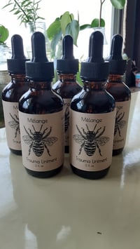 Trauma Liniment - Herbal Support for Overworked Bodies