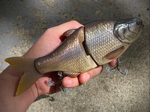 Image of 8” 5150 Xslowsink (Flash Carp)