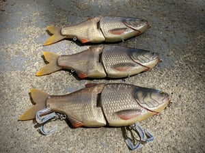 Image of 8” 5150 Xslowsink (Flash Carp)