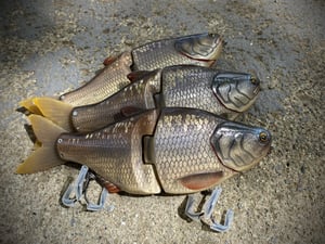 Image of 8” 5150 Xslowsink (Flash Carp)