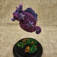 Image 3 of REEF SEAHORSE
