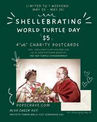 Image 5 of LIMITED: World Turtle Day Postcards (4x6) for Charity