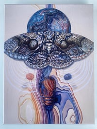 Image 1 of Rainbow Chrysalis ~ canvas print 