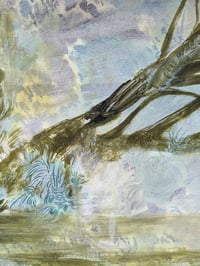 Image 2 of Fallen Tree (original)