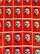 Image of Not my President Sticker Pack