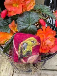 Image 1 of Goldie