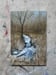 Image of Creekside Series #l0