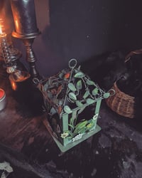 Image 3 of Frog Pond Lantern 