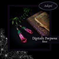 Image 1 of ☽ Digitalis Rosa ☾
